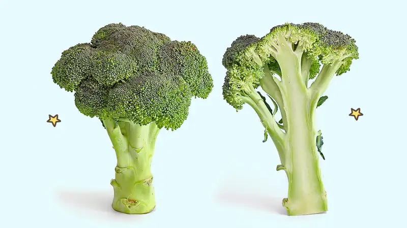 Brokoli Sebagai Sayuran Hidroponik