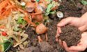 Mengenal Pupuk Kompos: Pahlawan Bagi Tanaman Dan Lingkungan