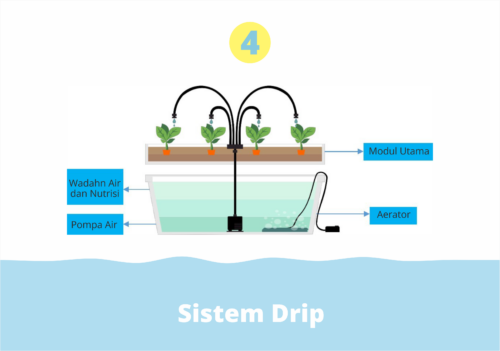 Sistem Drip (Sistem Hidroponik)