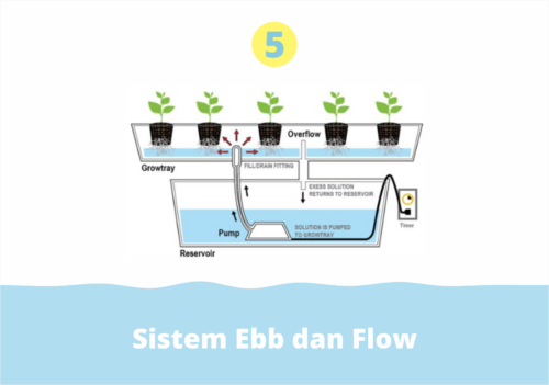 Sistem Ebb Dan Flow (Sistem Hidroponik)