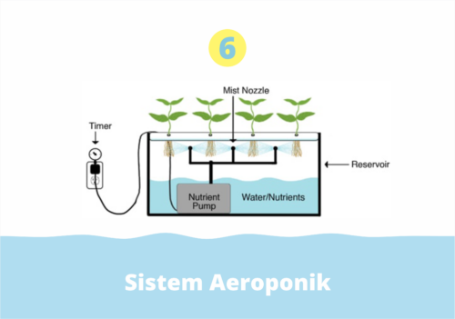 Sistem Aeroponik (Sistem Hidroponik)