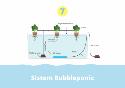 Sistem Bubbleponic (Sistem Hidroponik)