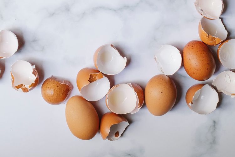 Cara Membuat Pupuk Organik Dari Cangkang Telur