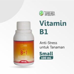 Nggak Cuma Kamu yang Butuh Vitamin, Beri Vitamin B1 untuk Tanaman di Kebunmu!